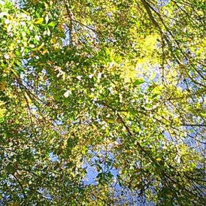 Meet your Posher, Shandra